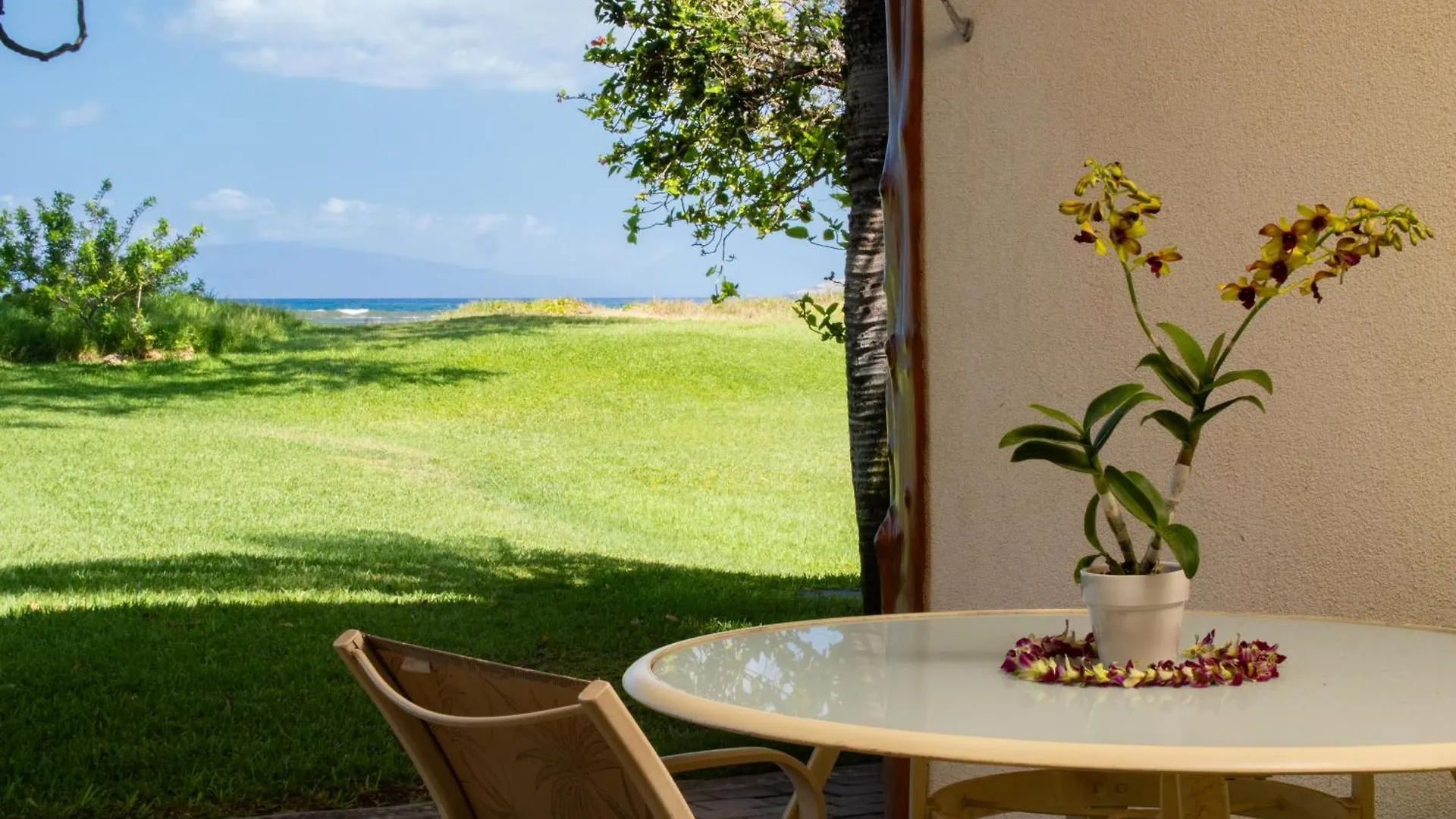 Aloha Aku Cocopalm Suite - Experience Tropical Bliss Kihei